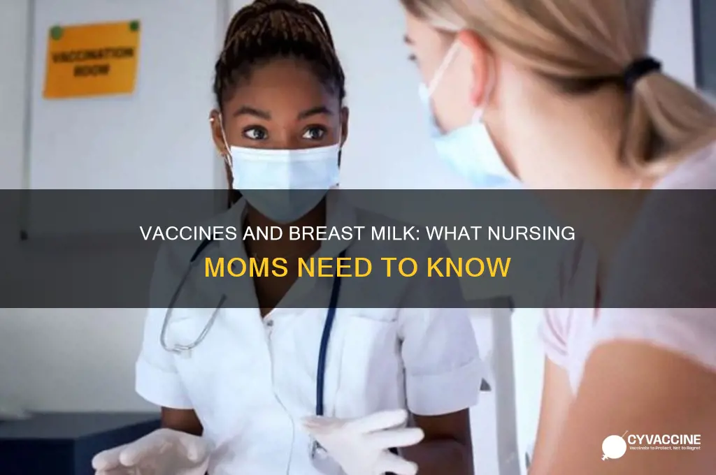 do vaccines cross into breast milk