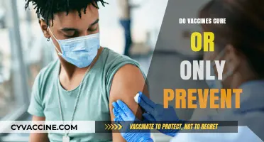 Vaccines: Prevention Powerhouses or Cure Alternatives? Debunking Common Myths