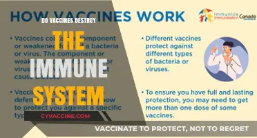 Vaccines and Immunity: Debunking the Myth of Immune System Damage
