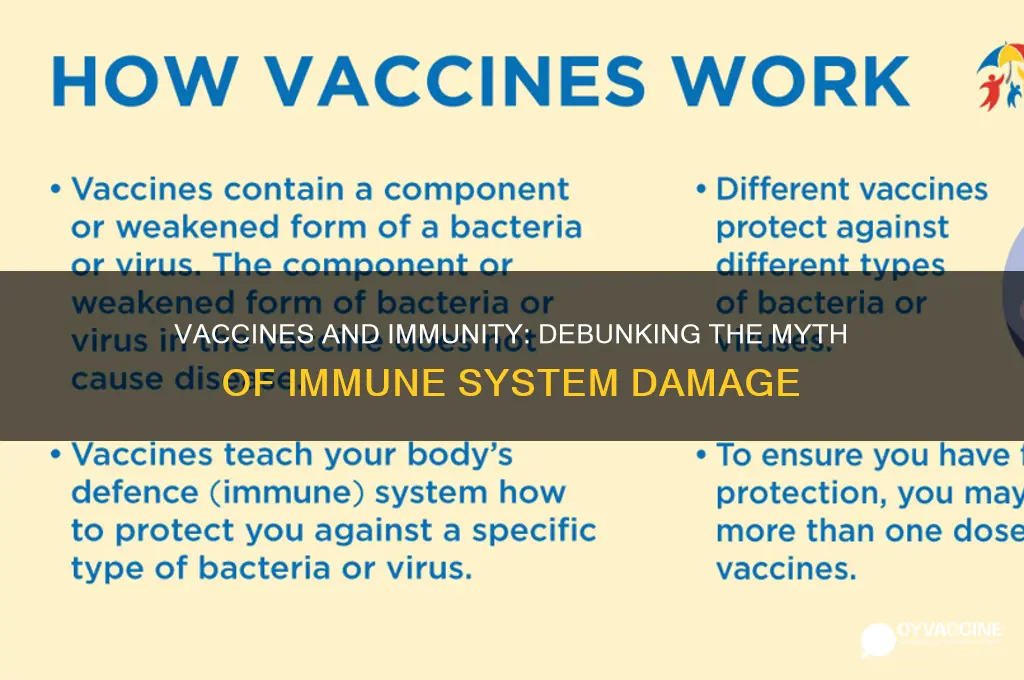 do vaccines destroy the immune system