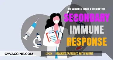 Understanding Primary and Secondary Immune Responses to Vaccines