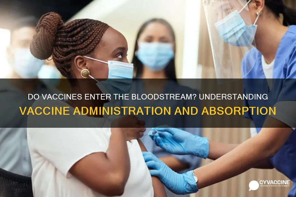 do vaccines enter the blood stream