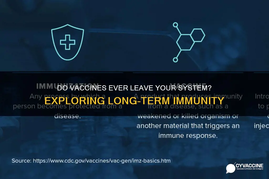 do vaccines ever leave your system
