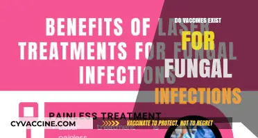 Exploring Fungal Infections: Are There Vaccines Available for Prevention?