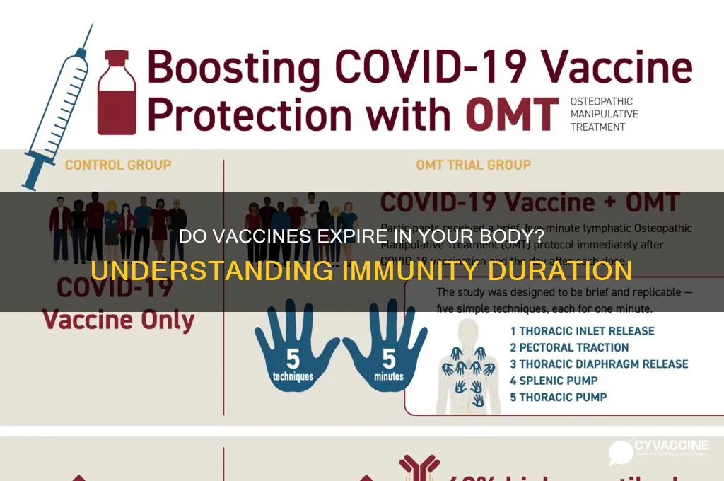 do vaccines expire in your body