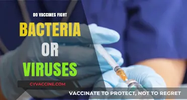 Vaccines: Battling Viruses, Not Bacteria – Understanding Their Role in Immunity