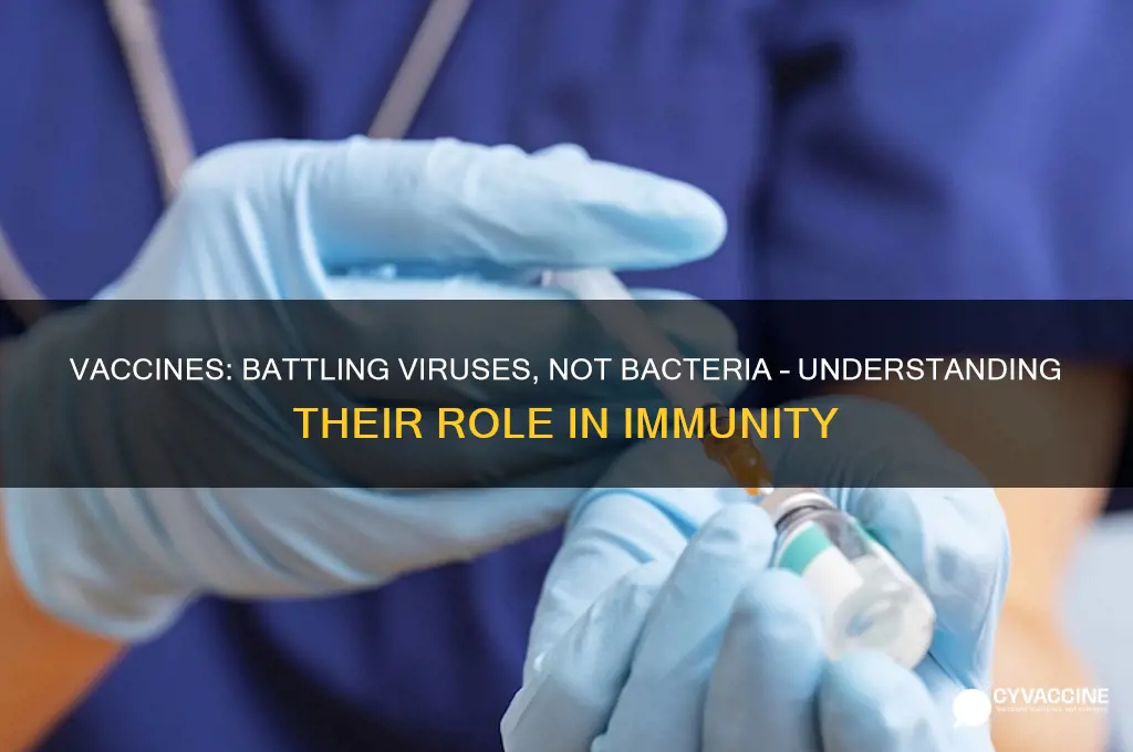 do vaccines fight bacteria or viruses
