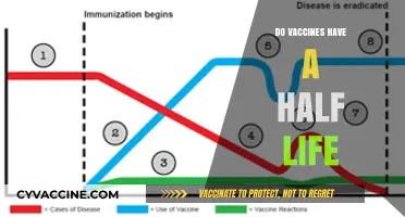 Understanding Vaccine Half-Life: Duration, Effectiveness, and Booster Necessity