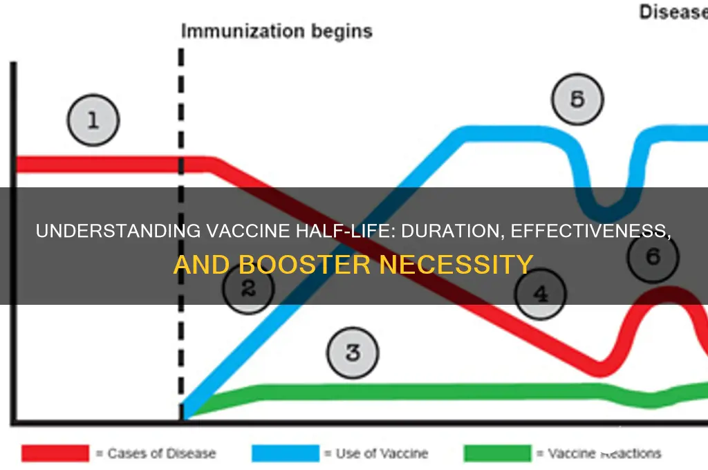 do vaccines have a half life