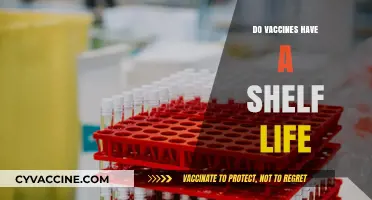 Do Vaccines Expire? Understanding the Shelf Life of Immunizations