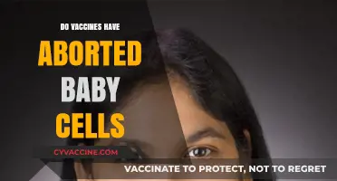 Vaccines and Fetal Cells: Separating Fact from Fiction