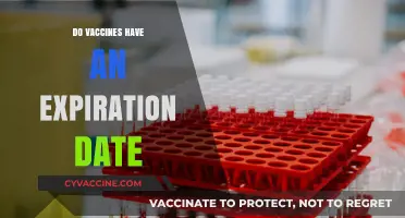 Do Vaccines Expire? Understanding Shelf Life and Effectiveness