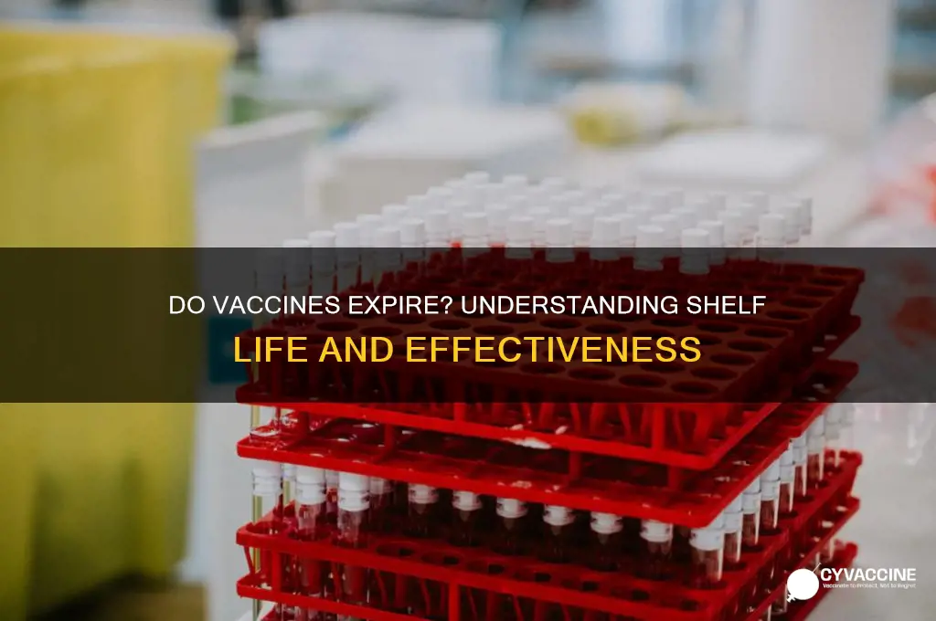 do vaccines have an expiration date