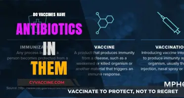Do Vaccines Contain Antibiotics? Separating Fact from Fiction