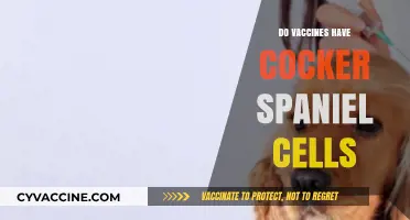 Do Vaccines Contain Cocker Spaniel Cells? Unraveling the Myth
