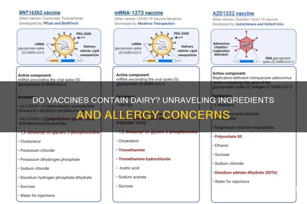 do vaccines have dairy in them