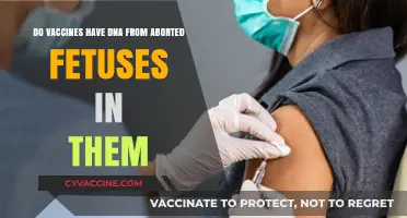 Vaccine Safety: DNA in Vaccines from Aborted Fetuses?