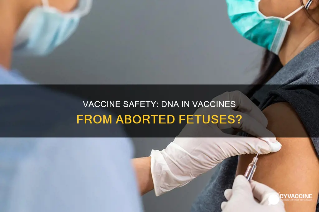 do vaccines have dna from aborted fetuses in them
