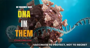 Do Vaccines Contain DNA? Unraveling the Science Behind Immunizations