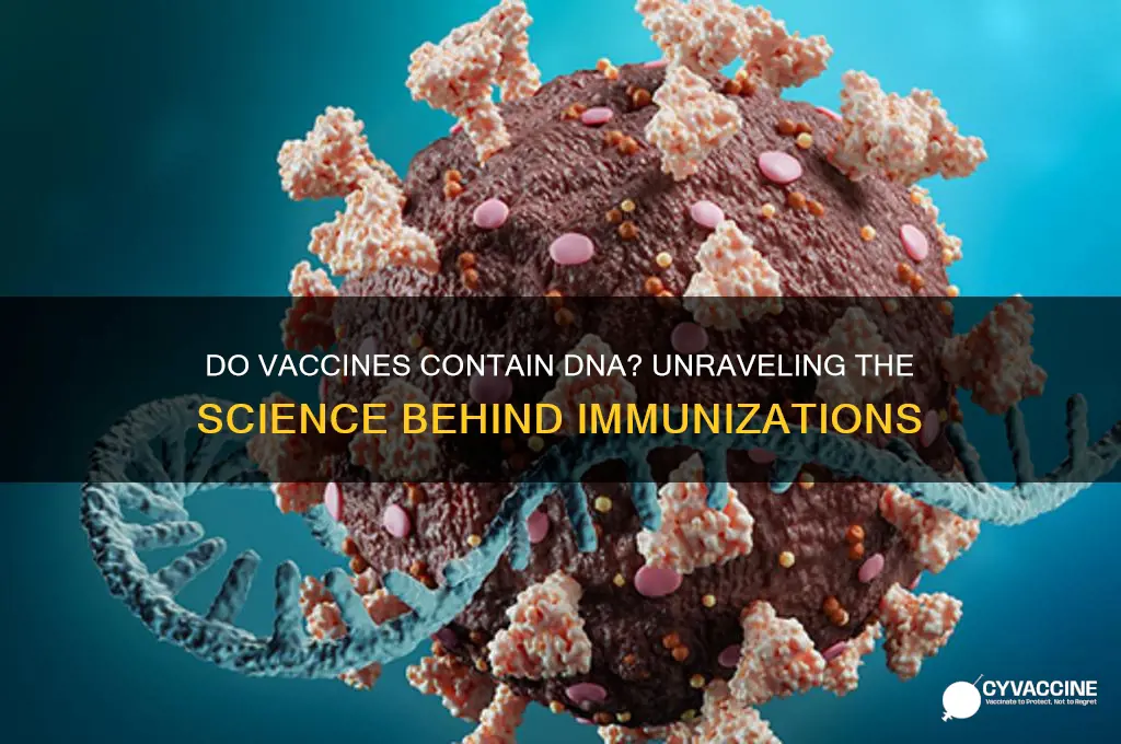 do vaccines have dna in them
