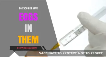 Do Vaccines Contain Eggs? Unraveling the Truth Behind Ingredients