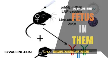 Debunking Myths: Are Fetal Cells Used in Vaccine Production?