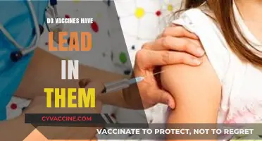 Do Vaccines Contain Lead? Debunking Myths and Facts
