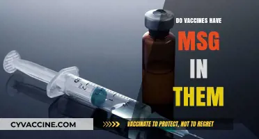 Do Vaccines Contain MSG? Separating Fact from Fiction in Immunizations