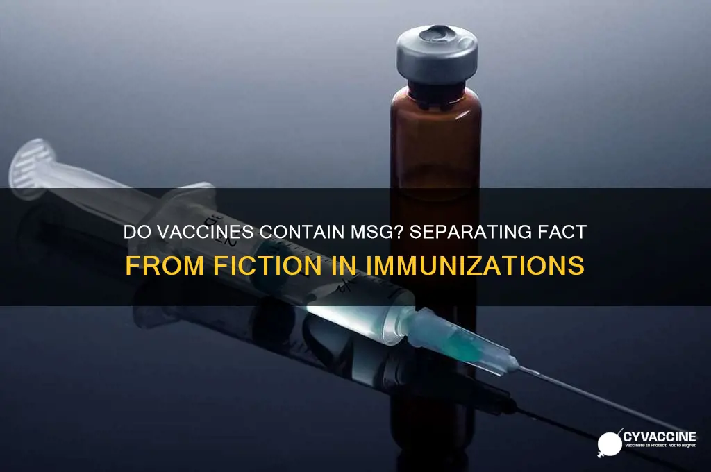 do vaccines have msg in them