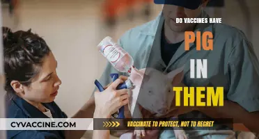 Do Vaccines Contain Pig Ingredients? Unraveling the Myth and Facts