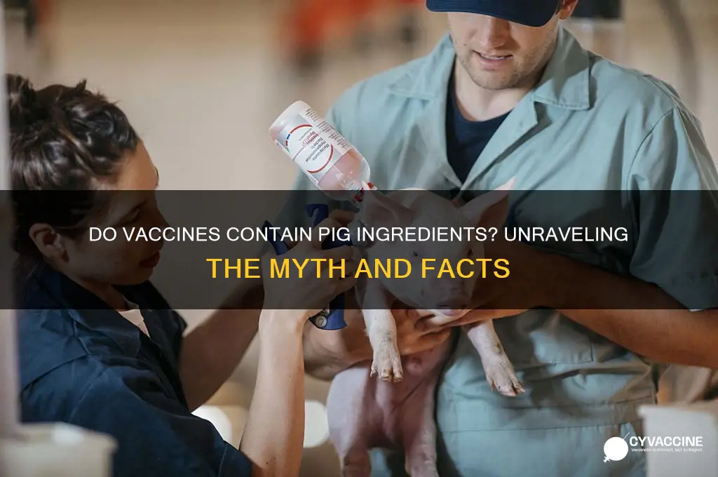 do vaccines have pig in them