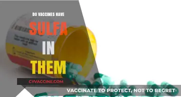 Do Vaccines Contain Sulfa? Debunking Myths and Facts