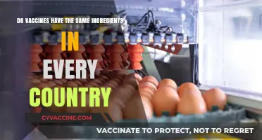 Vaccine Ingredients: A Global Standard?