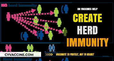 Vaccines and Herd Immunity: How Immunization Protects Communities