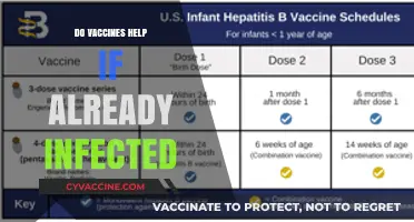 Vaccines Post-Infection: Do They Still Offer Protection and Benefits?