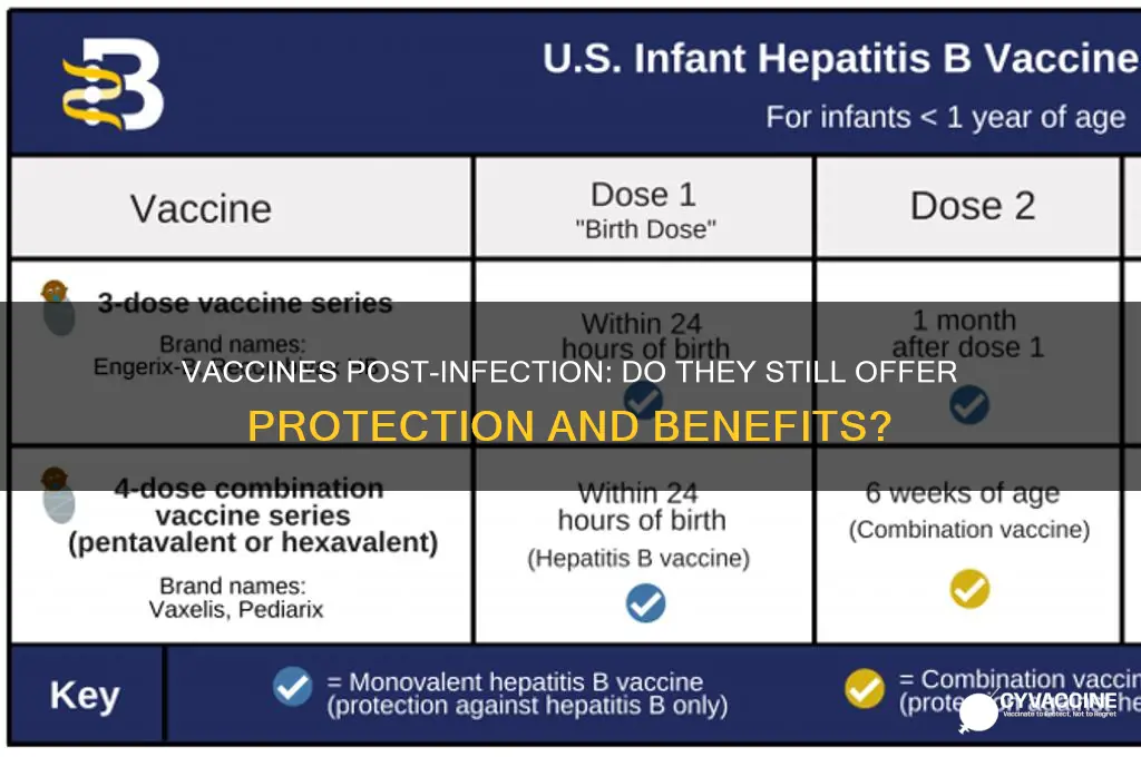 do vaccines help if already infected