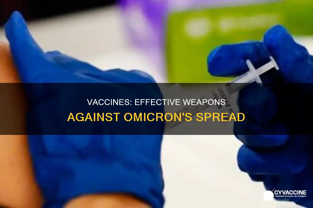 do vaccines help stop the spread of omicron