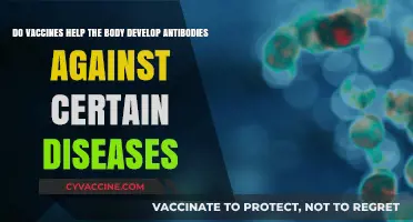 Vaccines: Body's Defense Against Diseases