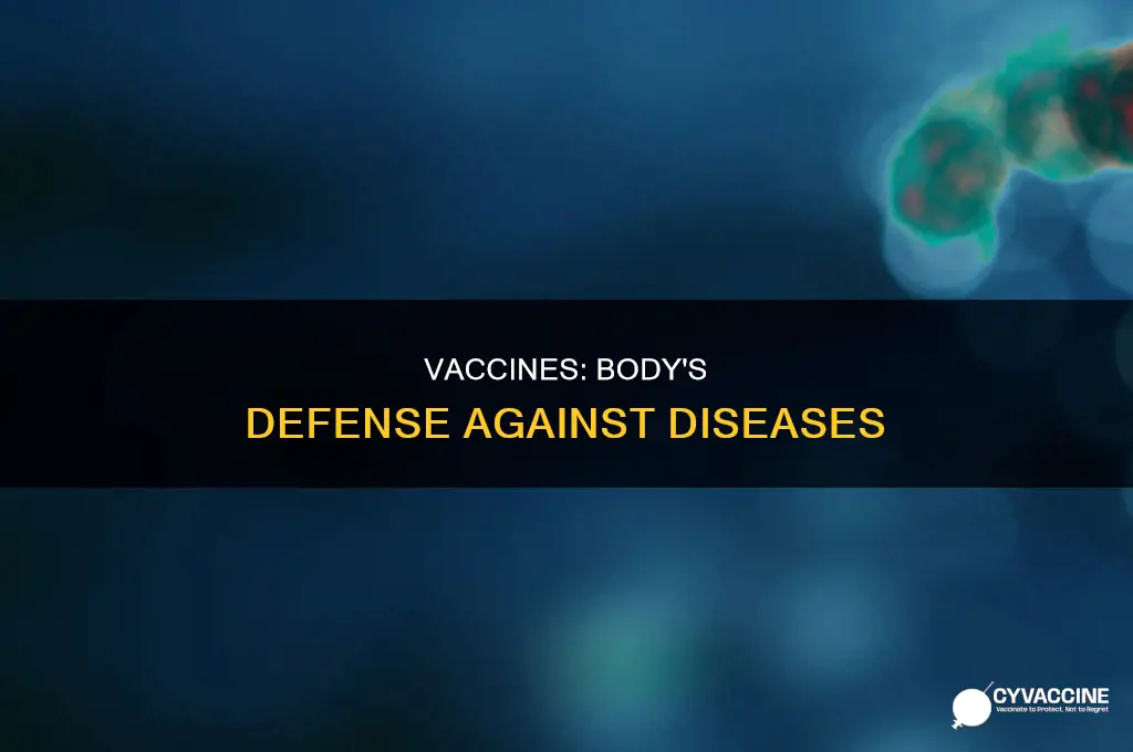 do vaccines help the body develop antibodies against certain diseases