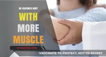 Do Vaccines Cause More Pain in Muscular Individuals? Exploring the Facts
