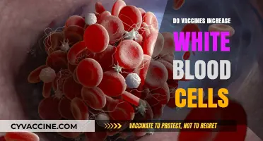 Vaccines and White Blood Cells: Boosting Immunity or Myth?