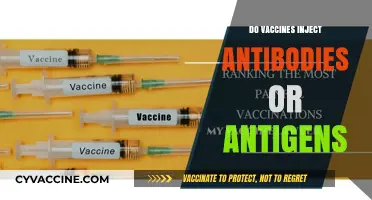 Vaccines: Antibodies or Antigens? Unraveling the Injection Mystery