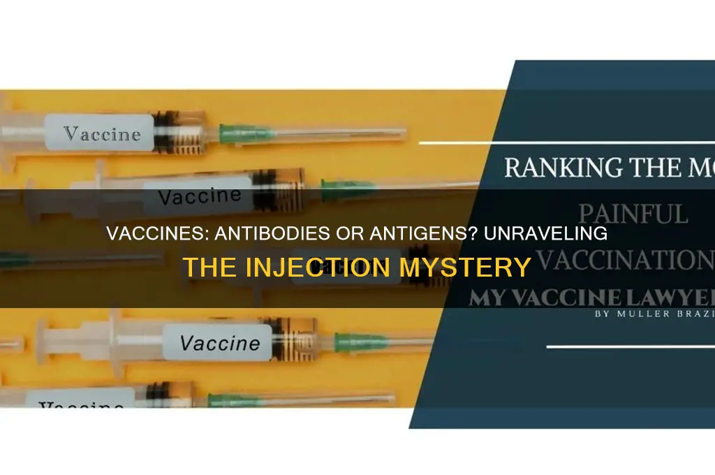 do vaccines inject antibodies or antigens