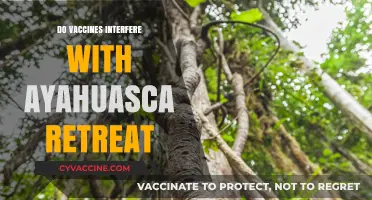 Vaccines and Ayahuasca Retreats: Potential Interactions and Safety Concerns