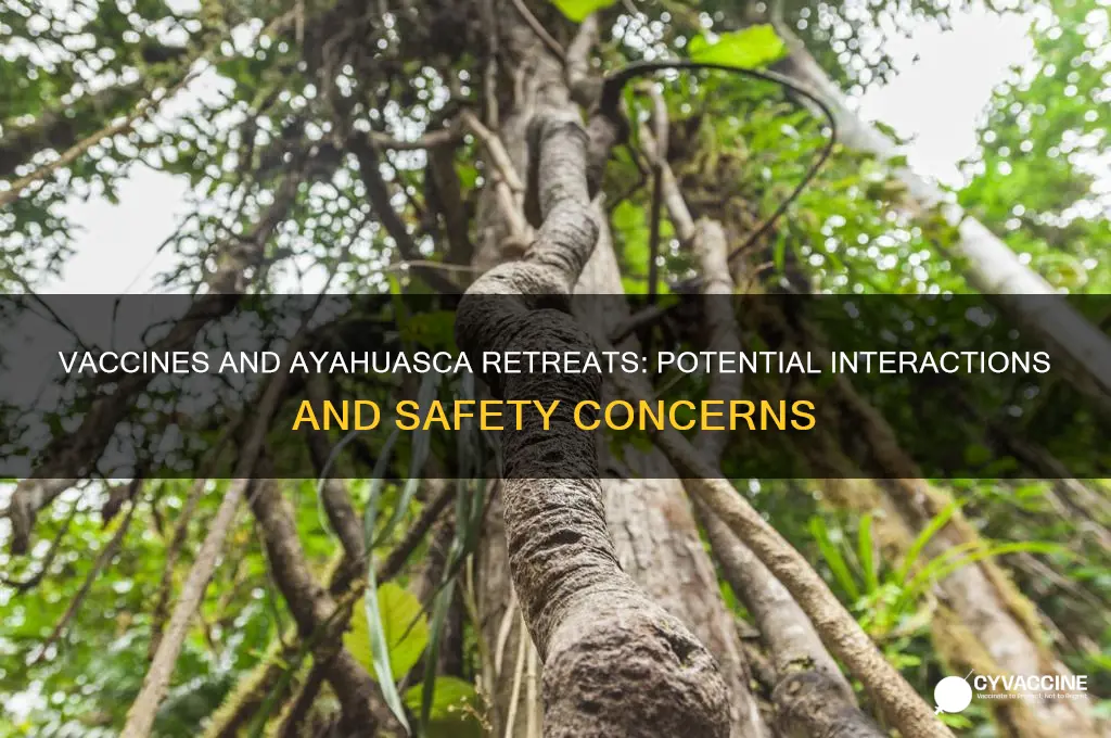 do vaccines interfere with ayahuasca retreat
