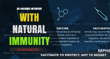 Vaccines vs. Natural Immunity: Do They Interfere or Enhance Protection?