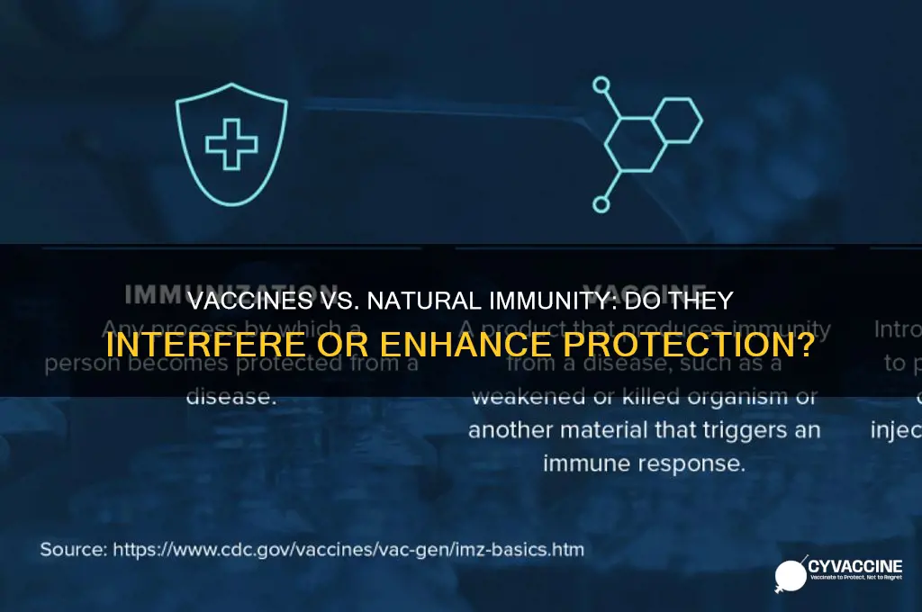 do vaccines interfere with natural immunity