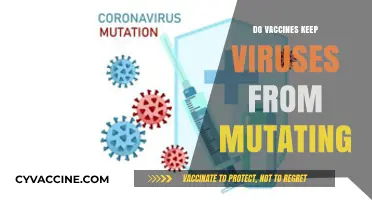 Vaccines and Viral Evolution: Preventing Mutations or Accelerating Change?