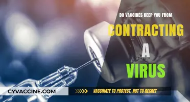 Vaccines: Protection or Prevention?