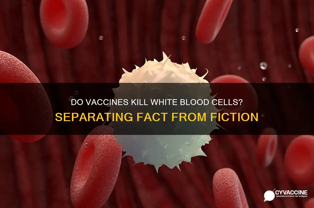 do vaccines kill white blood cells